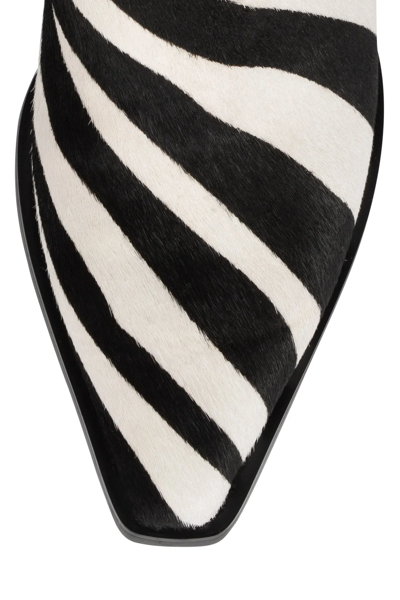 DAGGET-F ZEBRA - Image 3