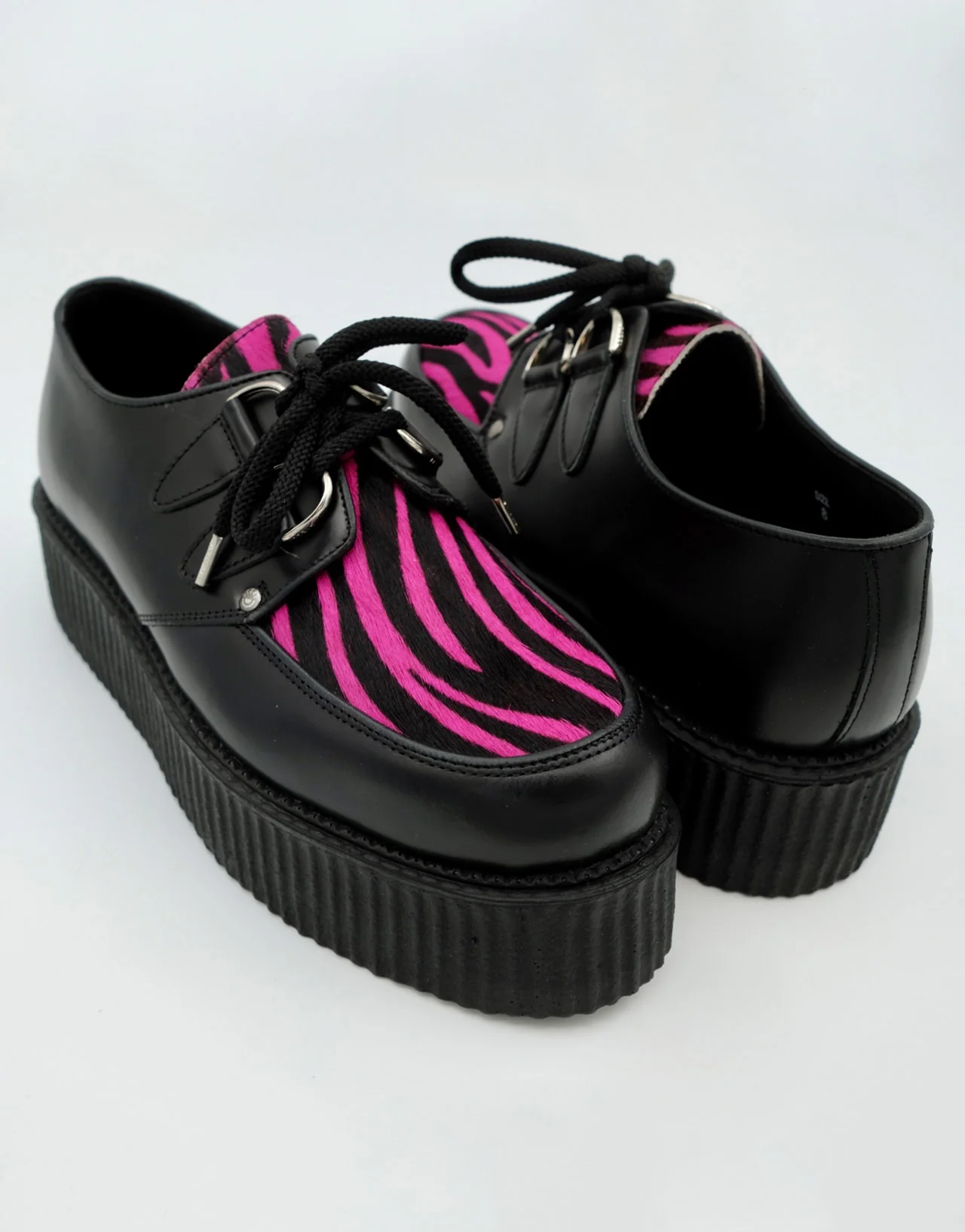 Zebra Double Creeper - Image 3