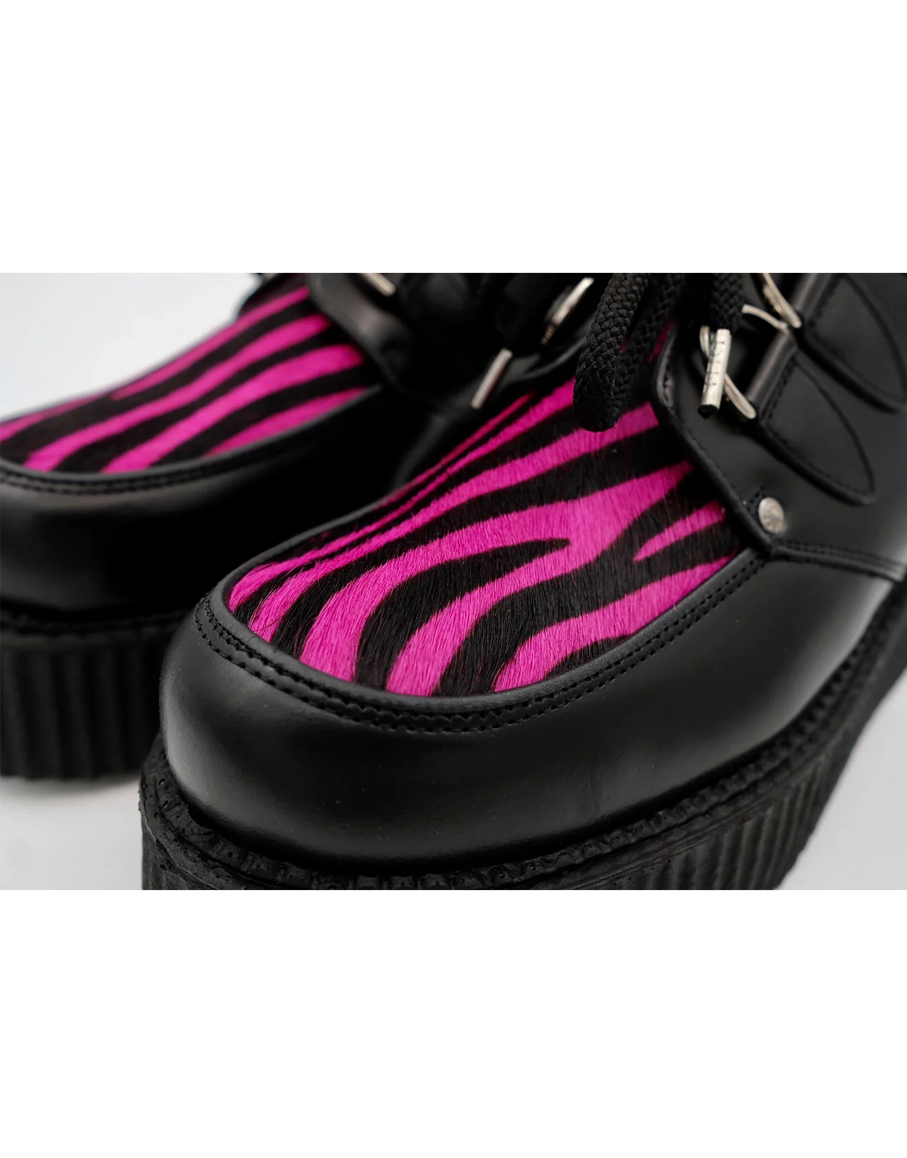 Zebra Double Creeper - Image 5